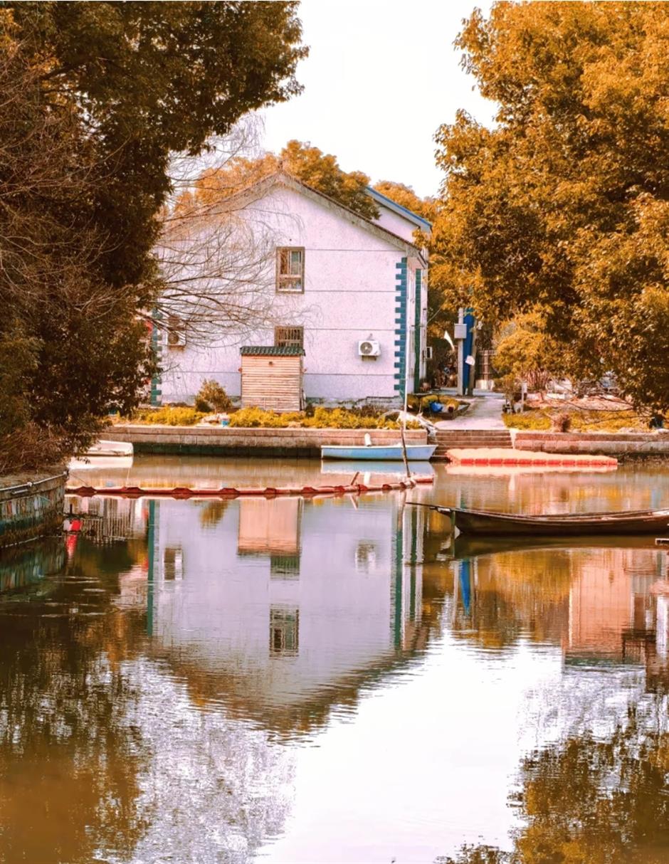 风景绝佳!一条线路串联水杉、古镇、村野,骑行去