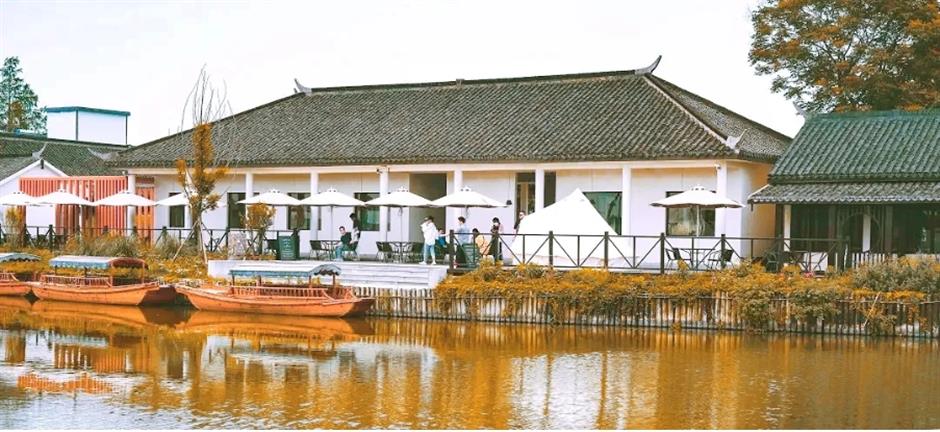 风景绝佳!一条线路串联水杉、古镇、村野,骑行去