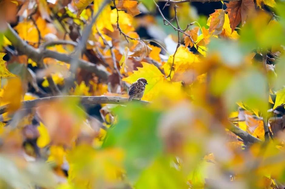 限时半价! 上海动物园冬日美景超级出片