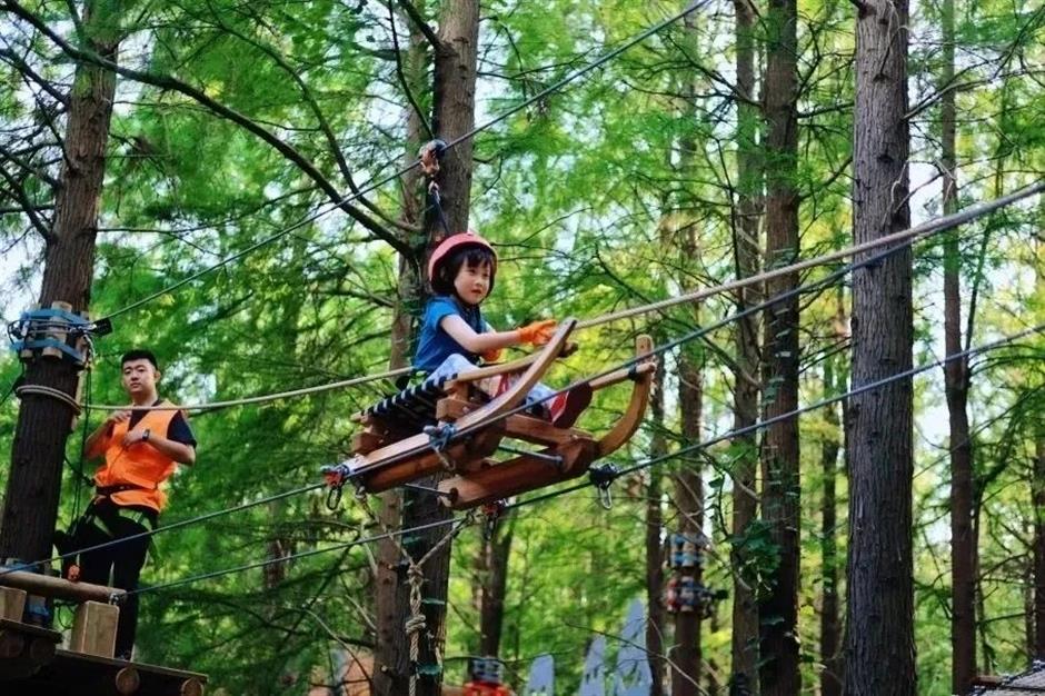 免费啦!快收好这份浦江郊野公园奇迹花园冬日游玩指南→