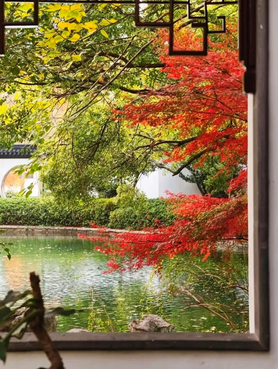 免费!鲜为人知!闹市藏着红枫黛瓦中式美学