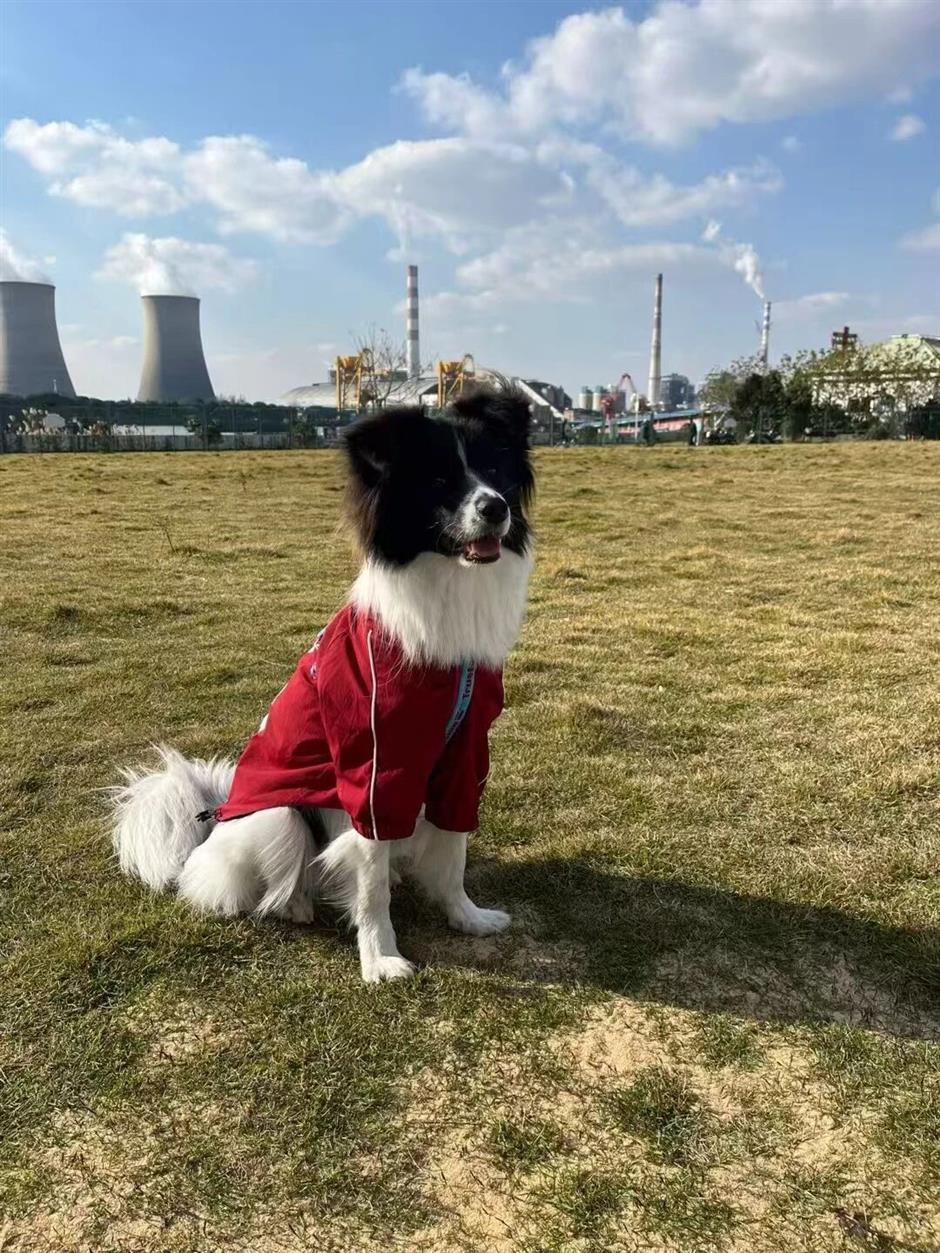 免费啦!快收好这份浦江郊野公园奇迹花园冬日游玩指南→