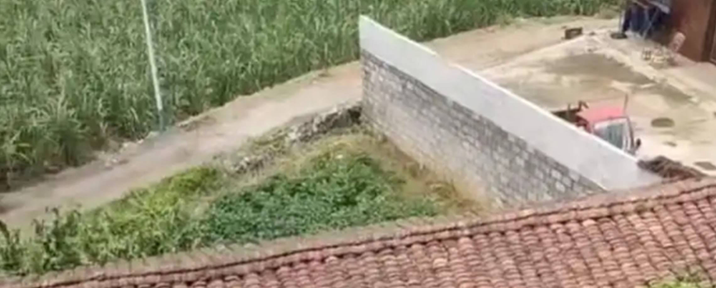 Death Sentence for Schizophrenic Killer Following Prosecution Appeal