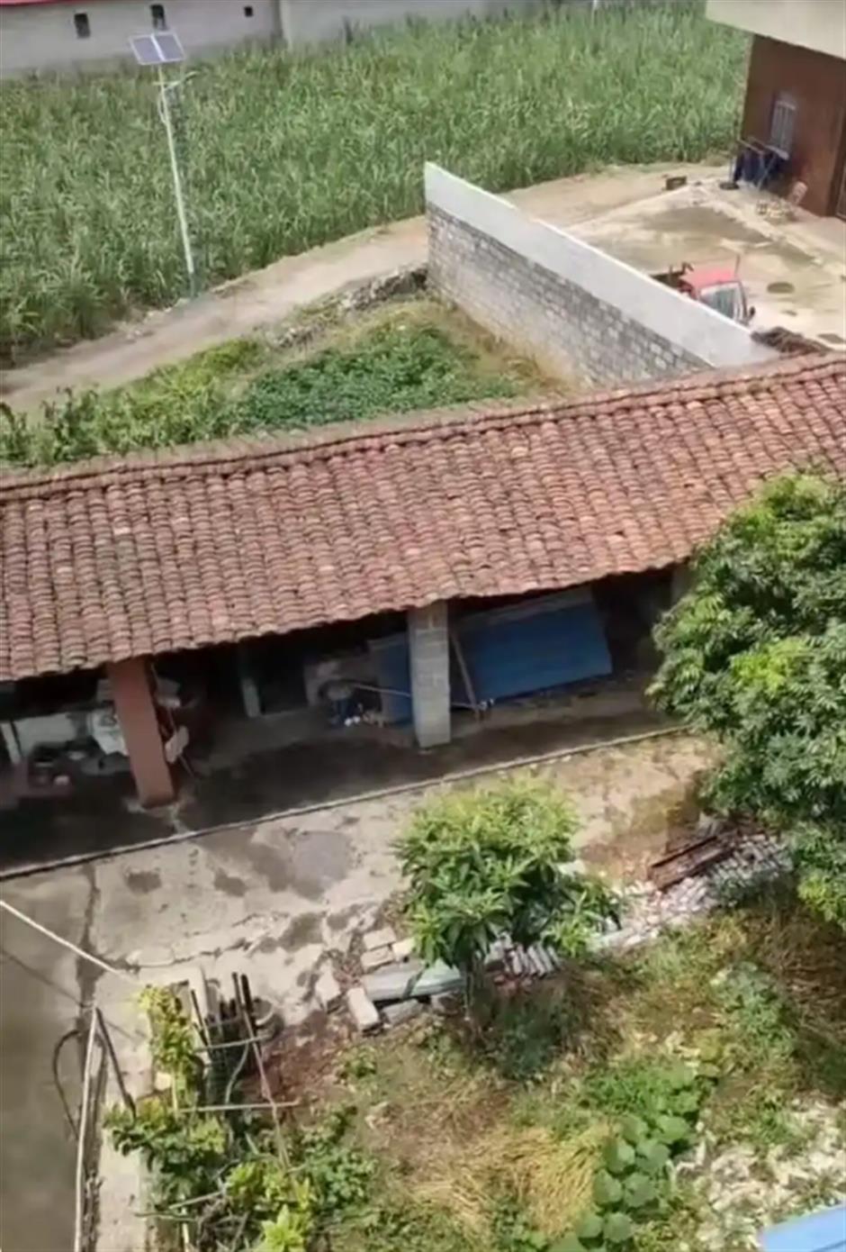 Death Sentence for Schizophrenic Killer Following Prosecution Appeal