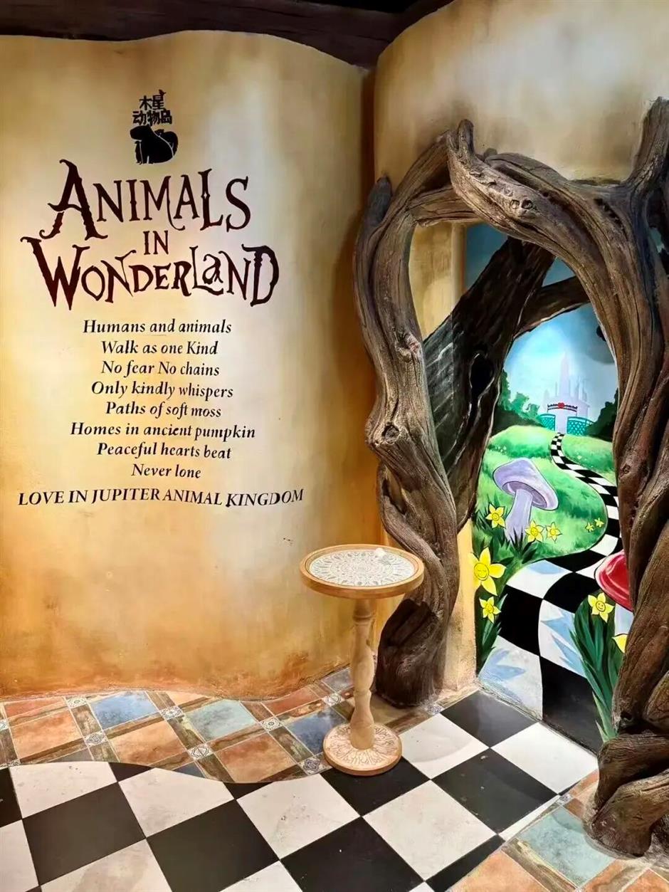 旅超 | 静安、长宁专场启动!半价和优惠!展览、美食、嗨购……从早到晚不重样