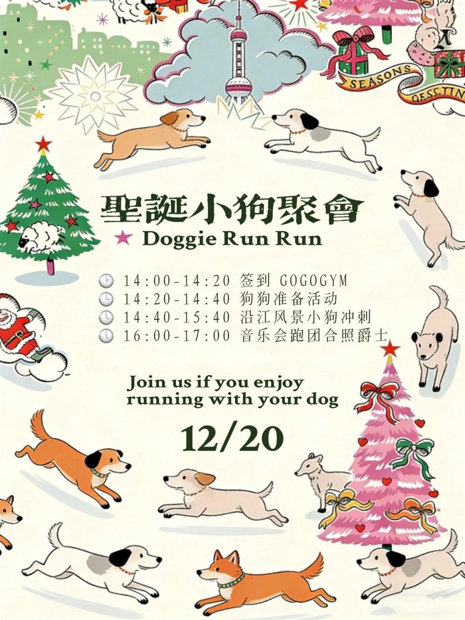 Doggie Christmas Run, Winter Fun For Pets And Owners Alike