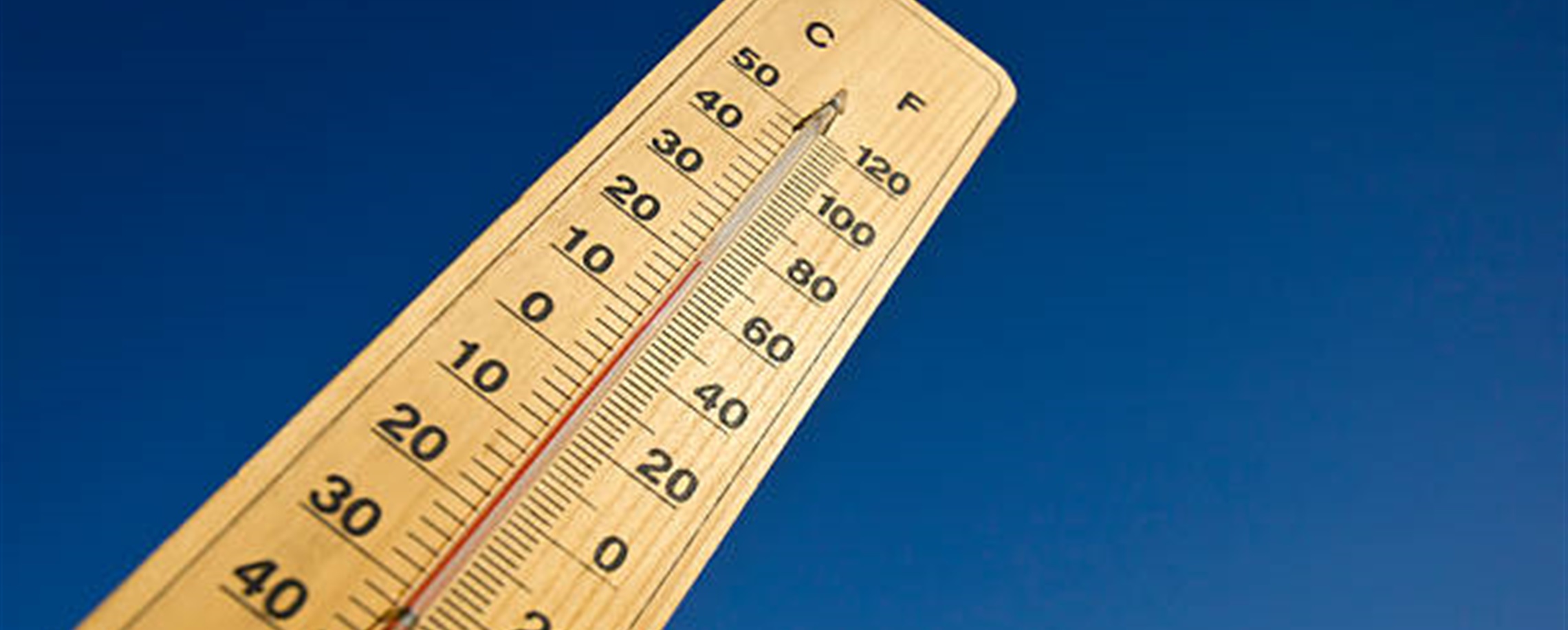 Shanghai Spring? Mercury to Soar Above 20°C, Air Quality Improves