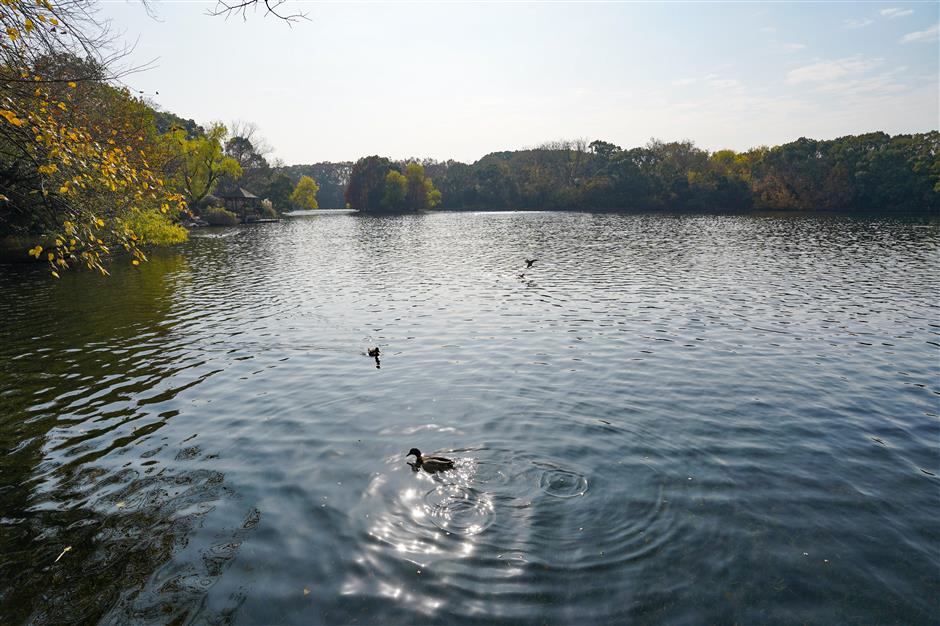 'Discover Shanghai' Tourism Competition: Exciting Offers And Events in Changning