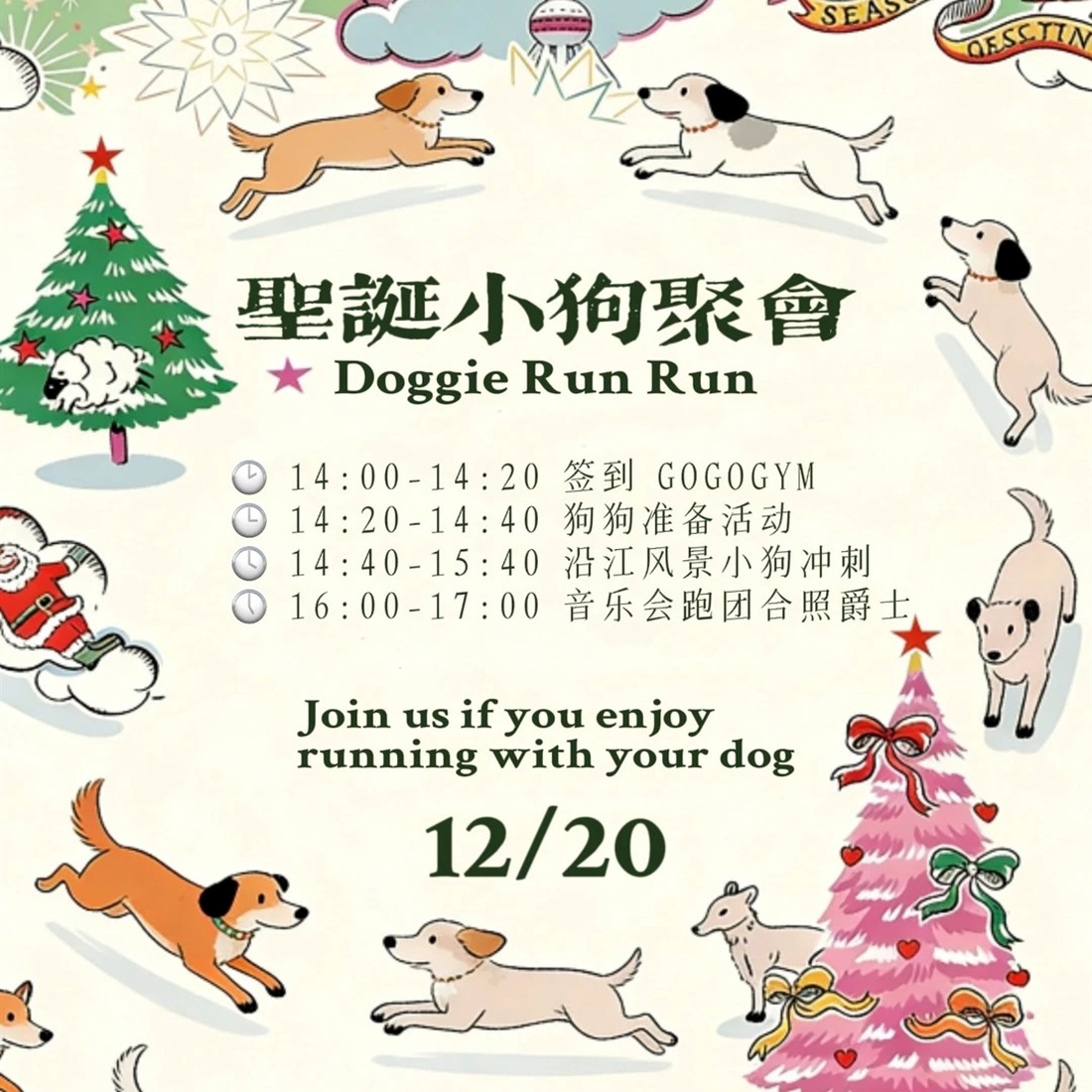 Doggie Christmas Run, Winter Fun For Pets And Owners Alike