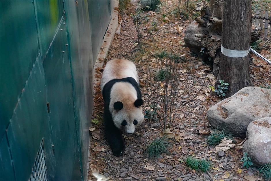 'Discover Shanghai' Tourism Competition: Exciting Offers And Events in Changning