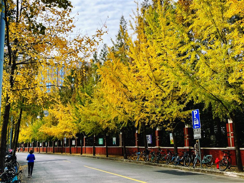 旅超|兩天一夜,解鎖上海23個「超」級點位