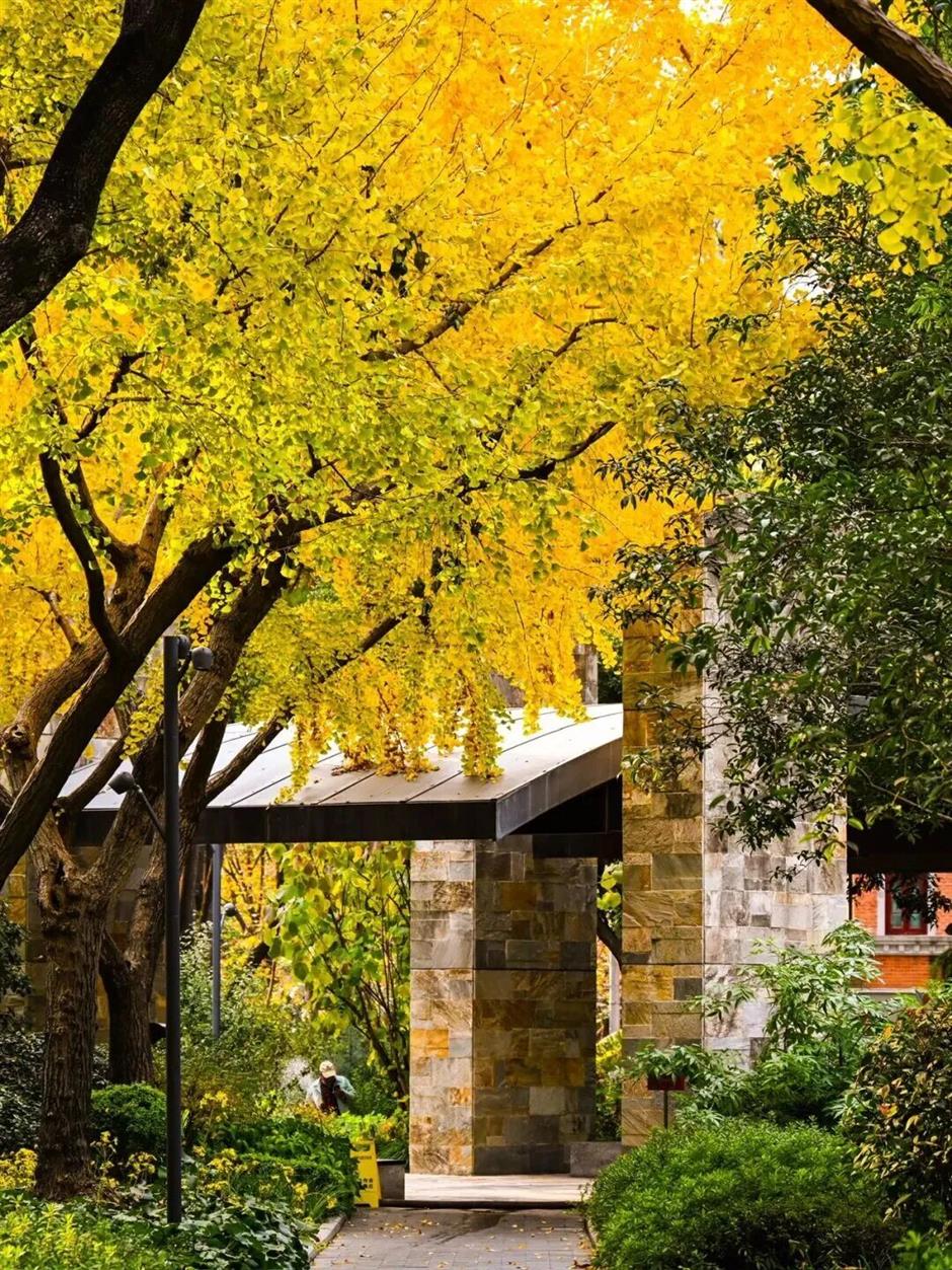 旅超|靜安48小時漫遊,打卡藝術蘇河寶藏出片點