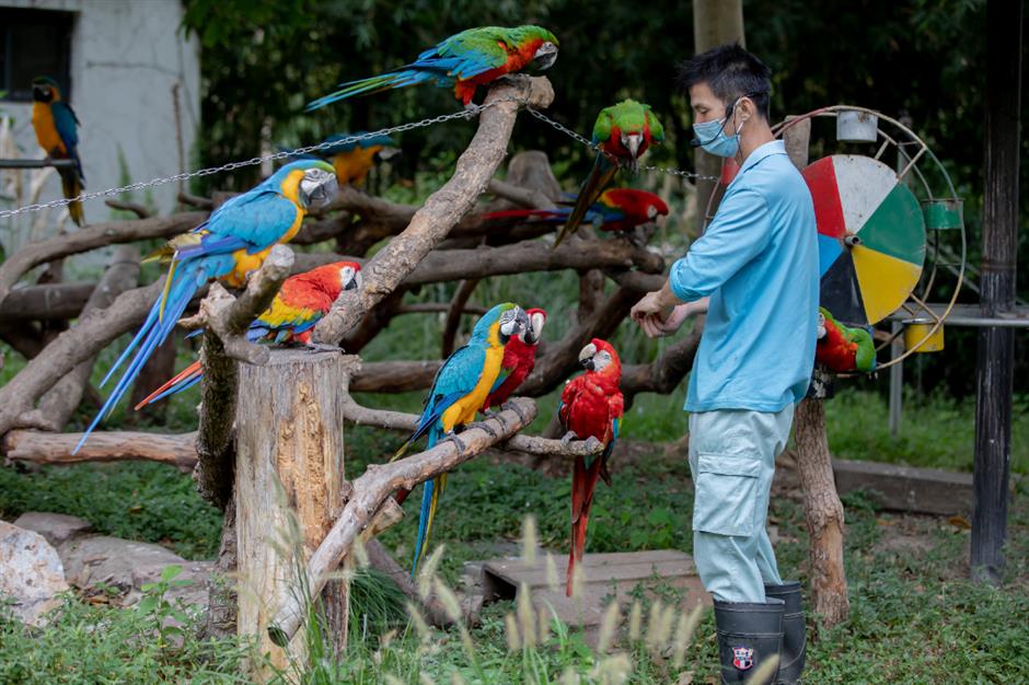 旅超|兩天一夜,解鎖上海23個「超」級點位