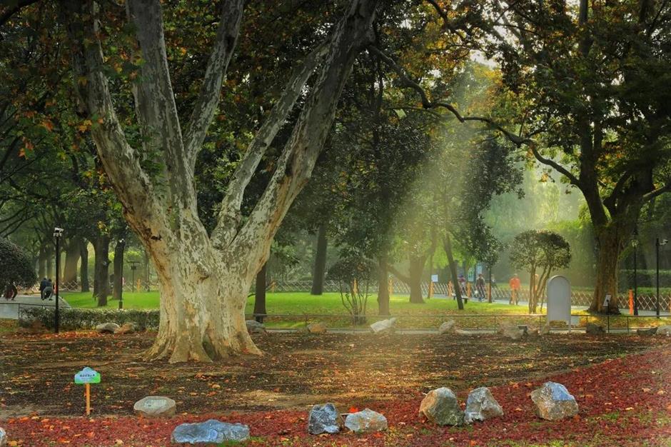 旅超|兩天一夜,解鎖上海23個「超」級點位