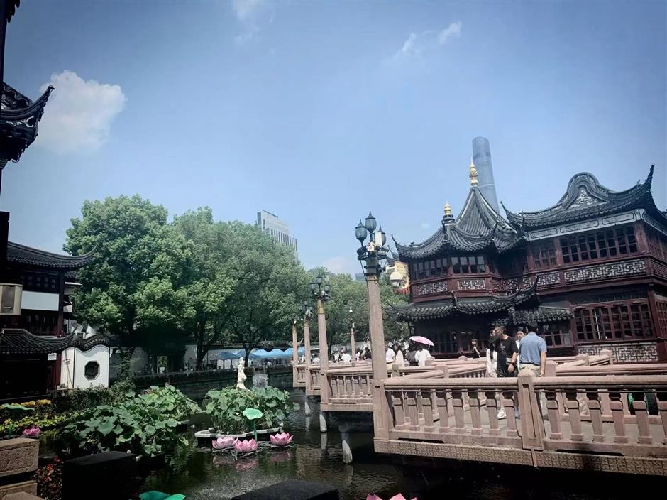 魔都新年开挂!120条文旅线路,承包你的元旦小长假