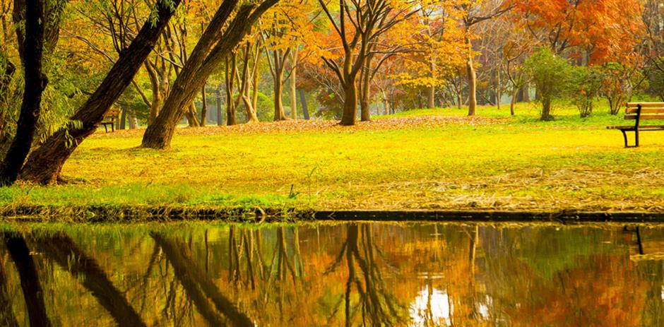 魔都新年开挂!120条文旅线路,承包你的元旦小长假