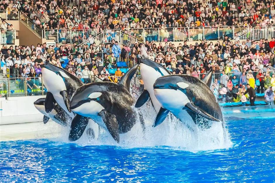 魔都新年开挂!120条文旅线路,承包你的元旦小长假