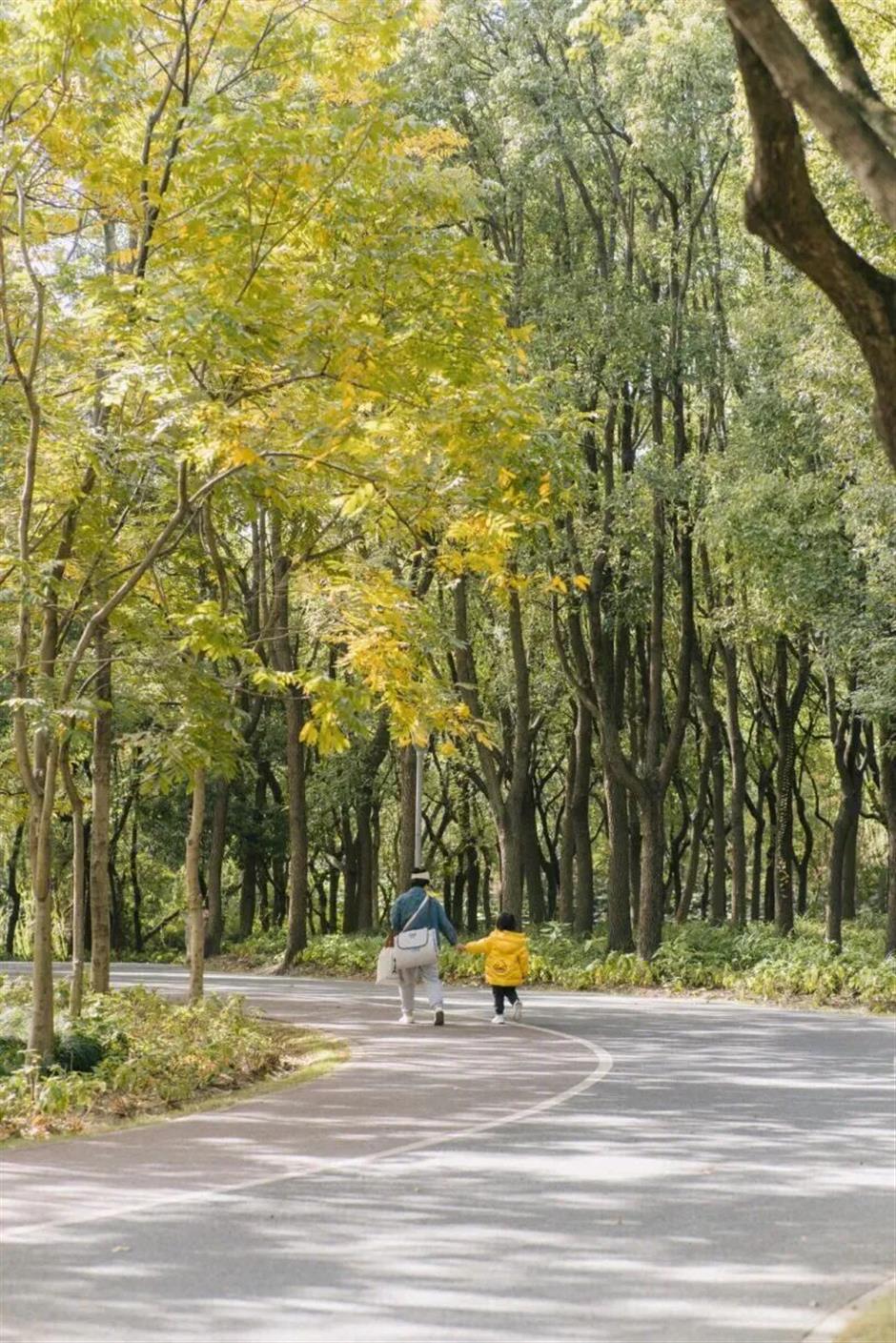 旅超|上海秋冬到底有多少种玩法?这波安利我吃了!