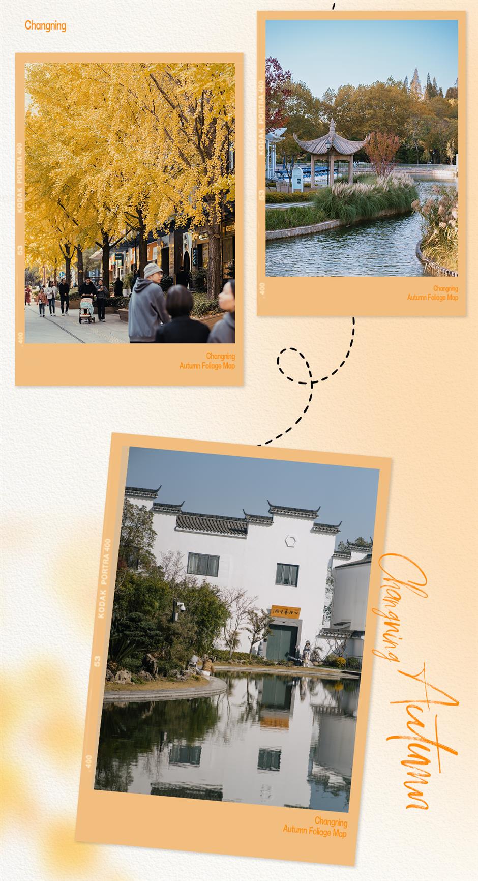 旅超|上海秋冬到底有多少种玩法?这波安利我吃了!