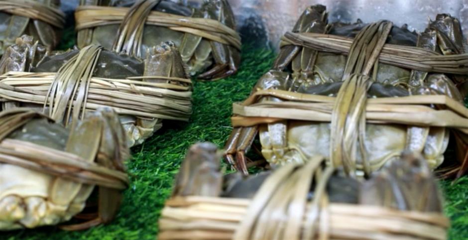 在前滩遇见崇明!这场文旅嘉年华好玩到不想走