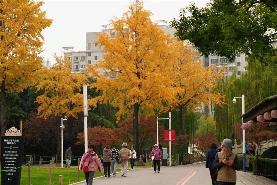 旅超|2天1夜,从摩登到水岸,解锁魔都双面魅力!