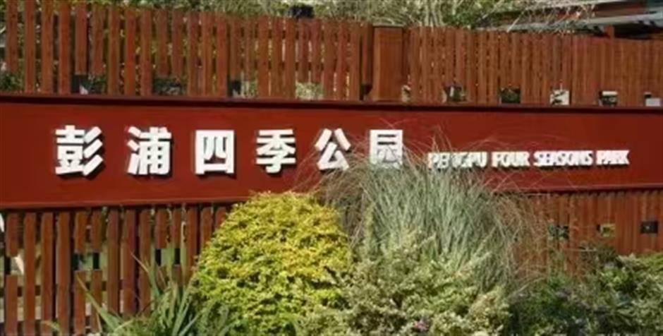 The Ultimate Pet-Friendly Parks Across Jing'an District