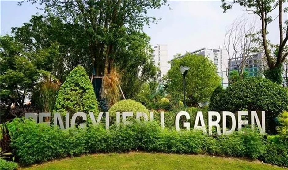 The Ultimate Pet-Friendly Parks Across Jing'an District