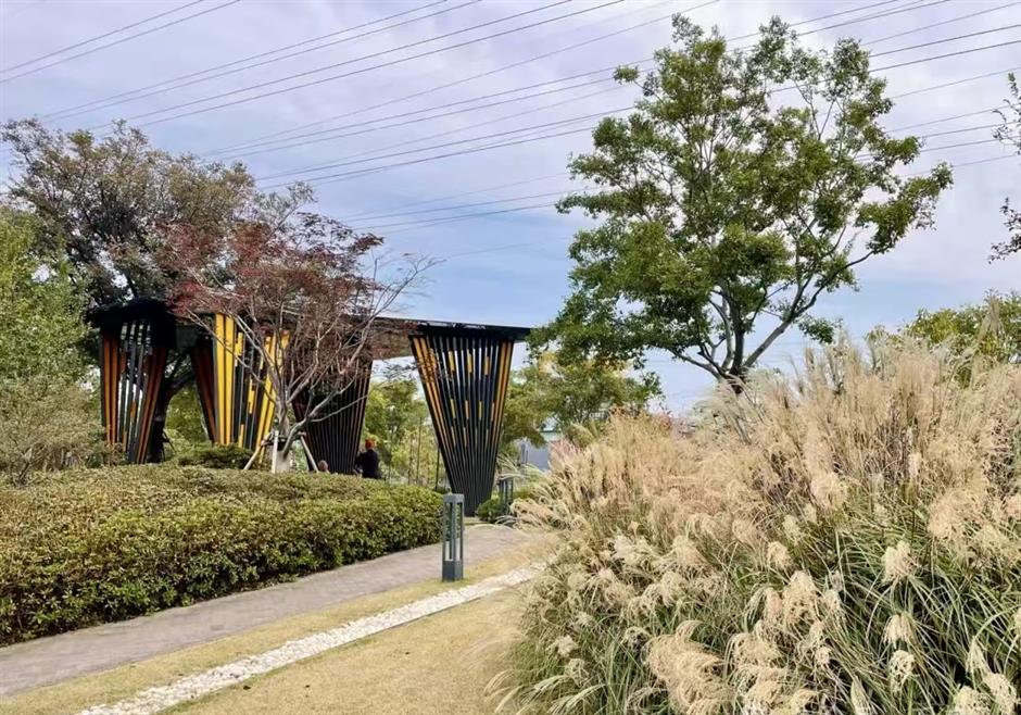 The Ultimate Pet-Friendly Parks Across Jing'an District