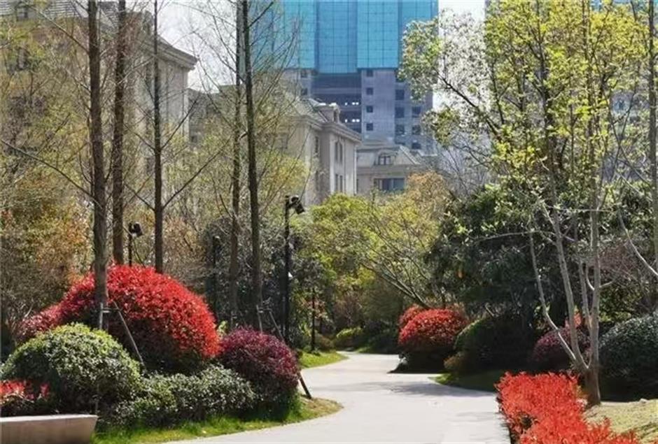 The Ultimate Pet-Friendly Parks Across Jing'an District