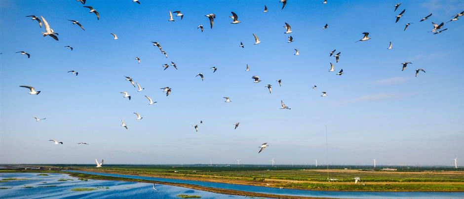 各区文旅放大招!旅超开赛,谁更宠粉?