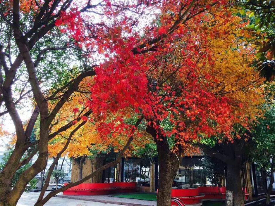 旅超 | 松江、闵行诚意满满的超级优惠来了!快来解锁冬日惠游新体验