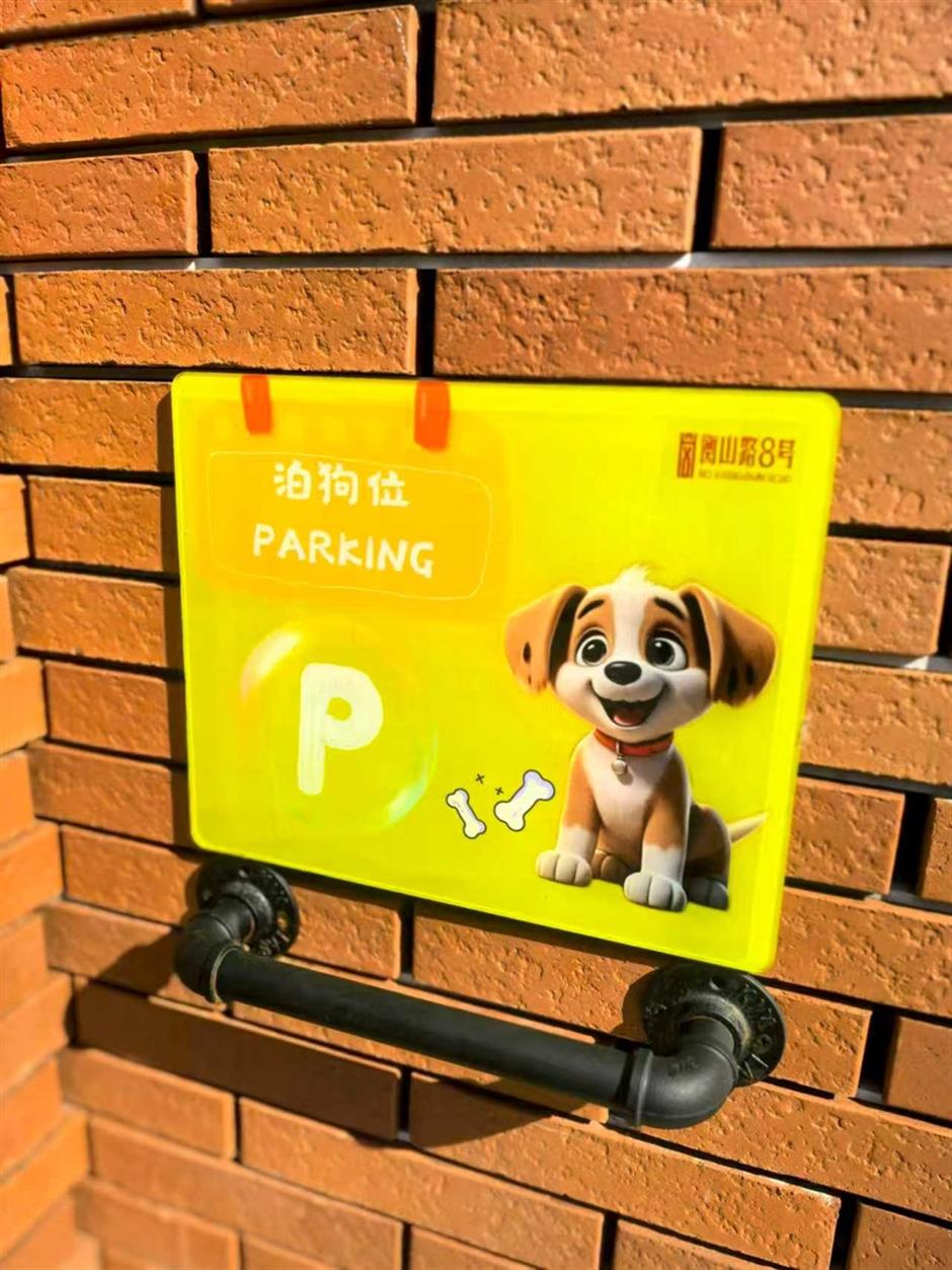 Tianping Subdistrict Launches Shanghai's First All-Area Pet-Friendly Zone