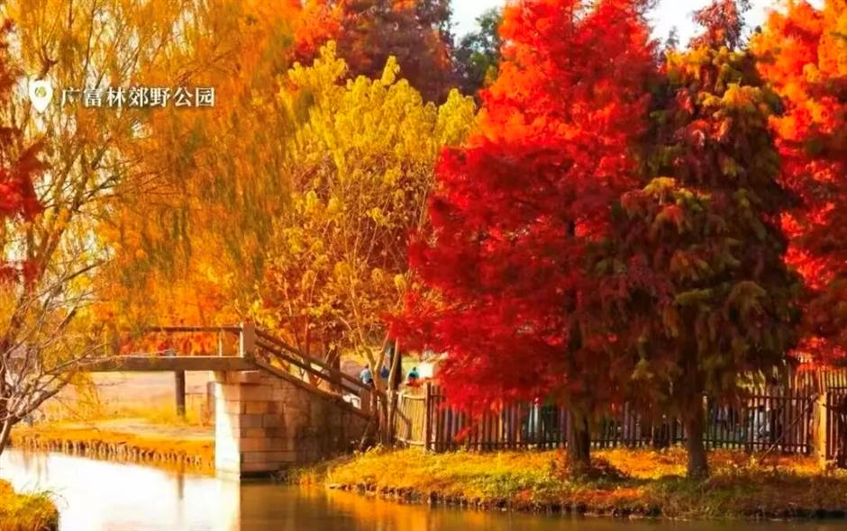 旅超 | 松江、闵行诚意满满的超级优惠来了!快来解锁冬日惠游新体验