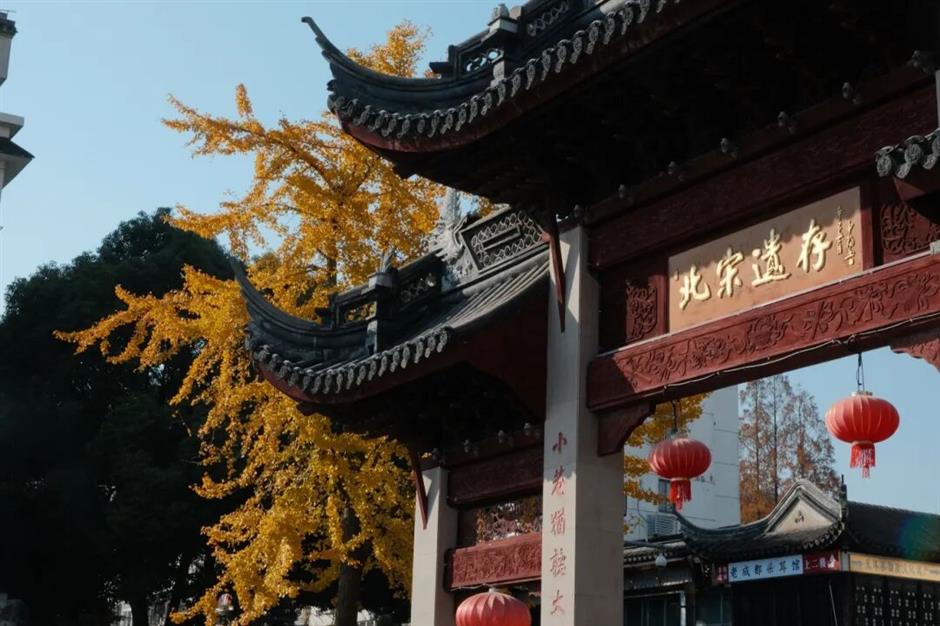 旅超 | 松江、闵行诚意满满的超级优惠来了!快来解锁冬日惠游新体验