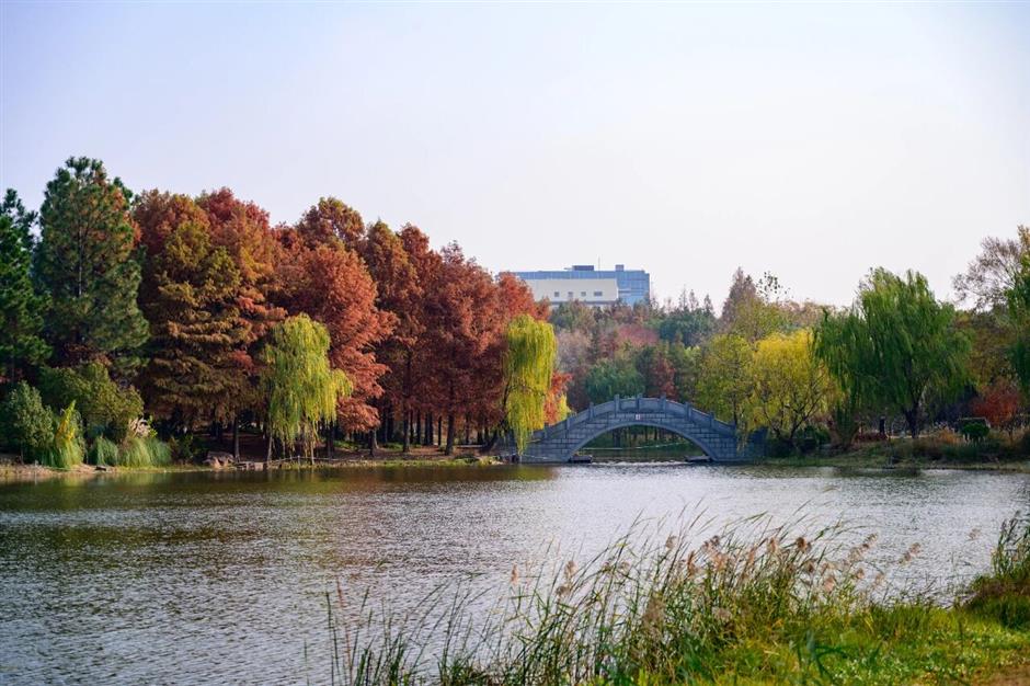 旅超 | 松江、闵行诚意满满的超级优惠来了!快来解锁冬日惠游新体验