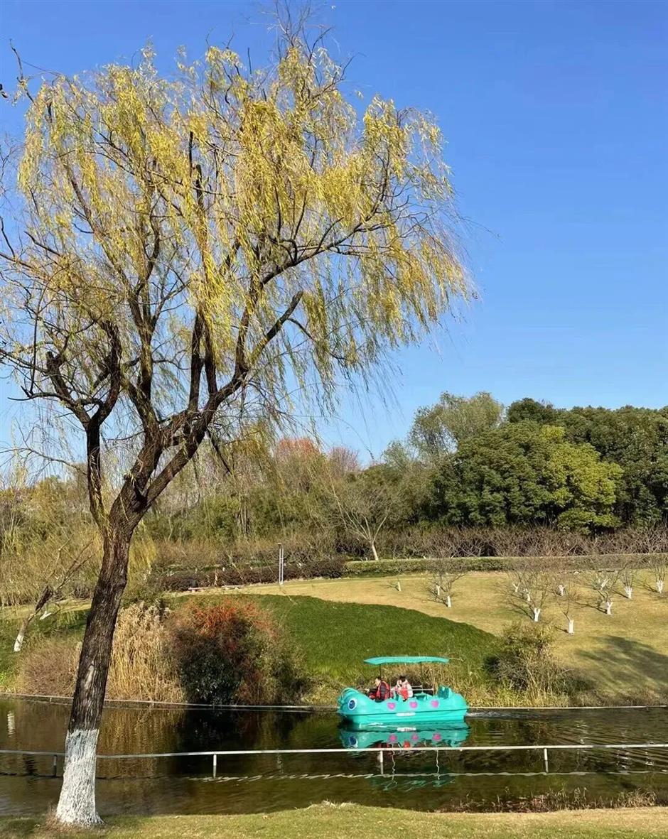 旅超 | 松江、闵行诚意满满的超级优惠来了!快来解锁冬日惠游新体验