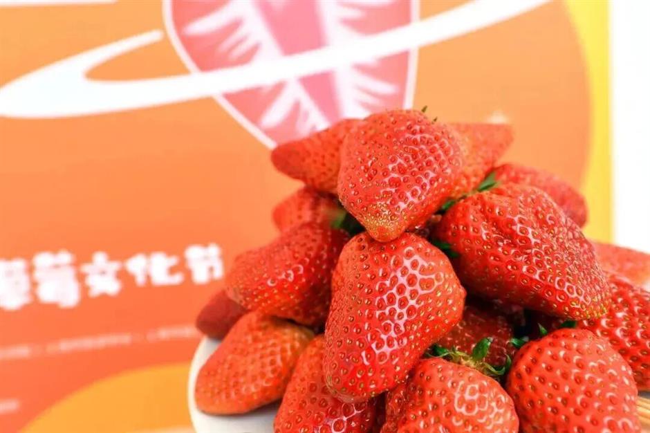 各区文旅放大招!旅超开赛,谁更宠粉?