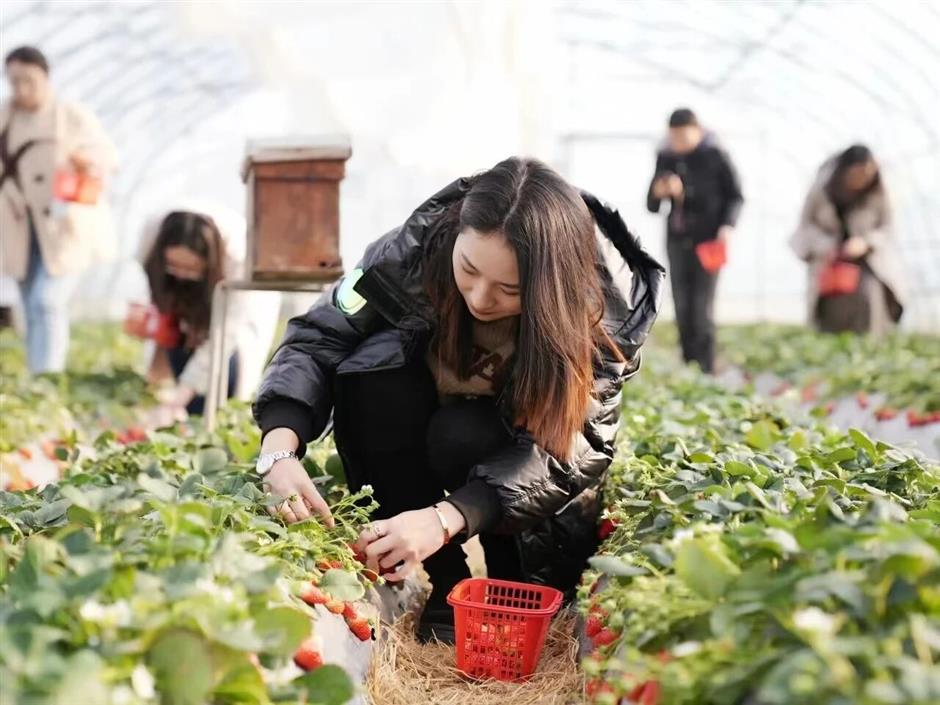 [The Big List] NYE Parties, Fireworks, Drone Shows, and MORE