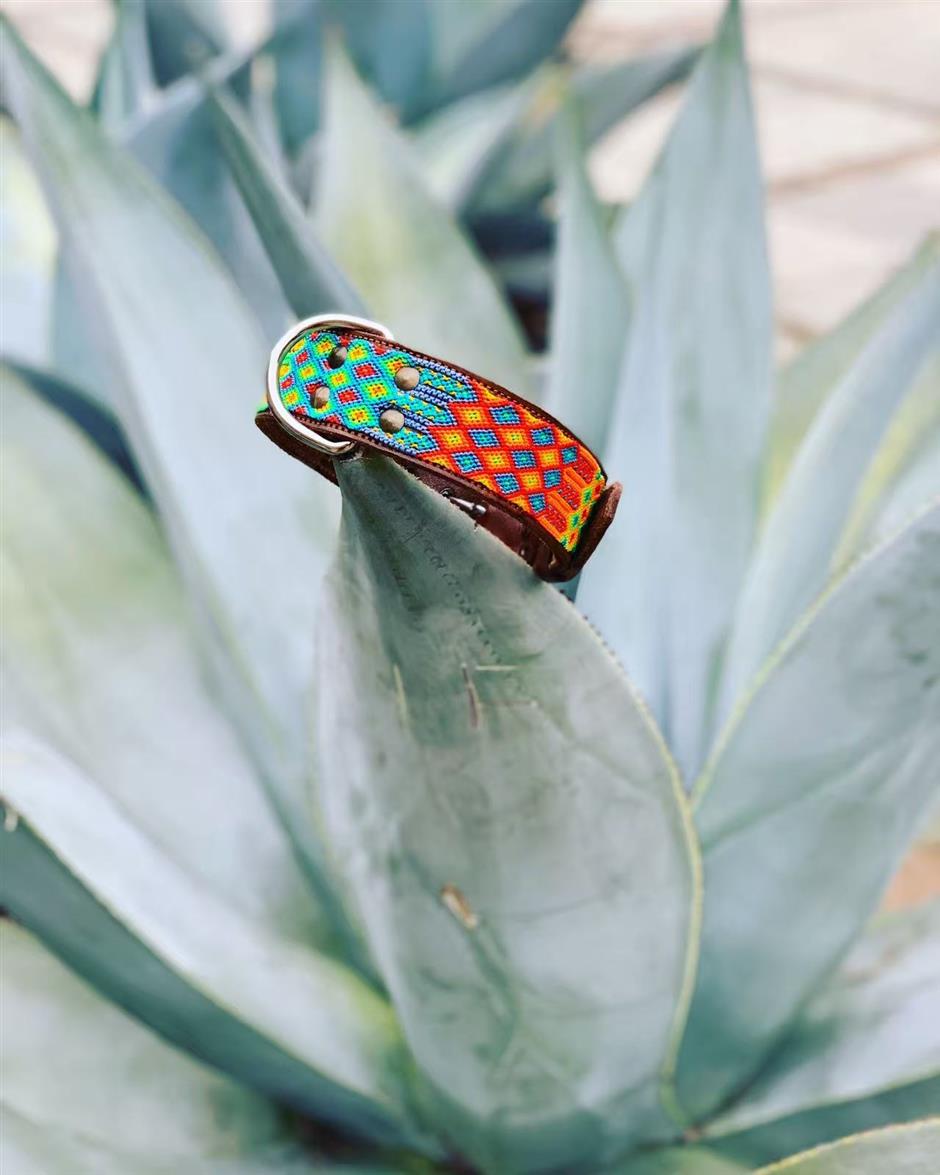 Building XOLO with Heart, Craft, and Community