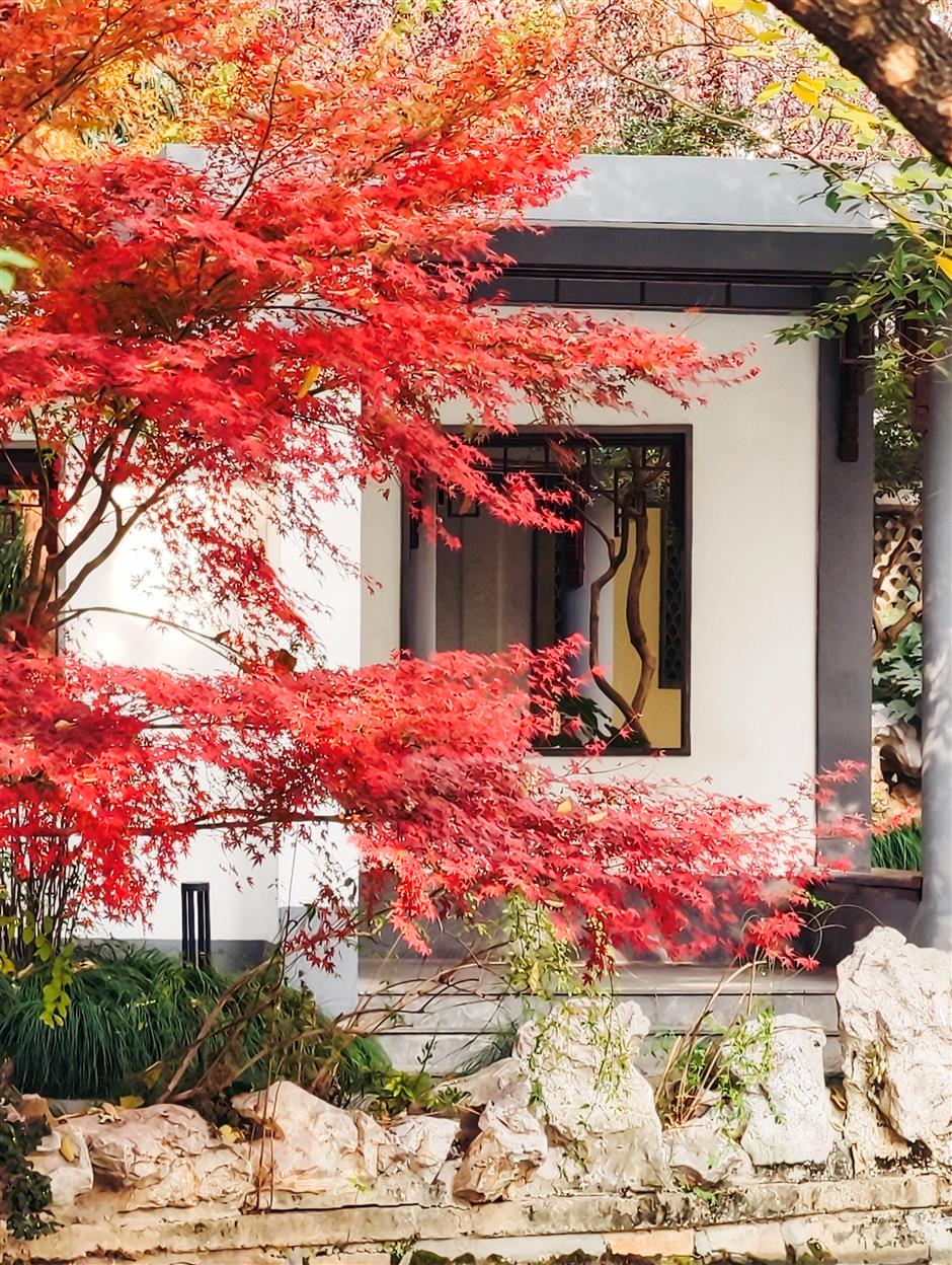 Jing'an Agog with Activities, Cultural Events