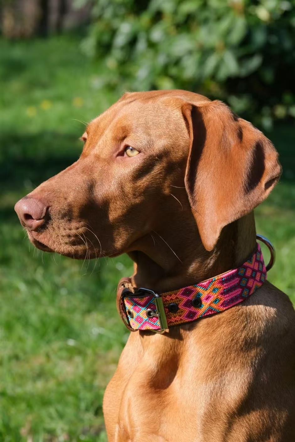 Building XOLO with Heart, Craft, and Community