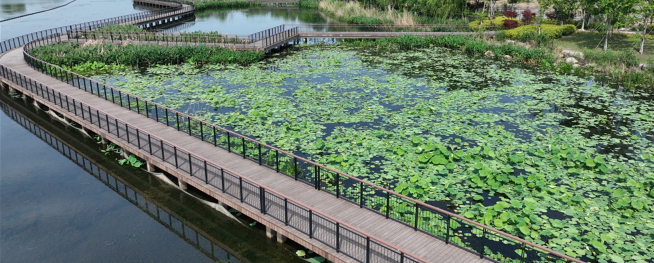 Pearl Necklace Perfect for Ideal Holiday