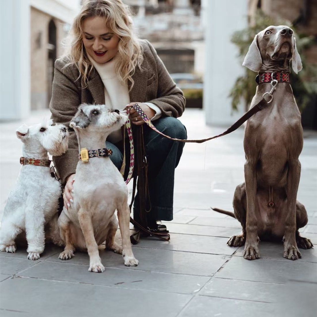 Building XOLO with Heart, Craft, and Community