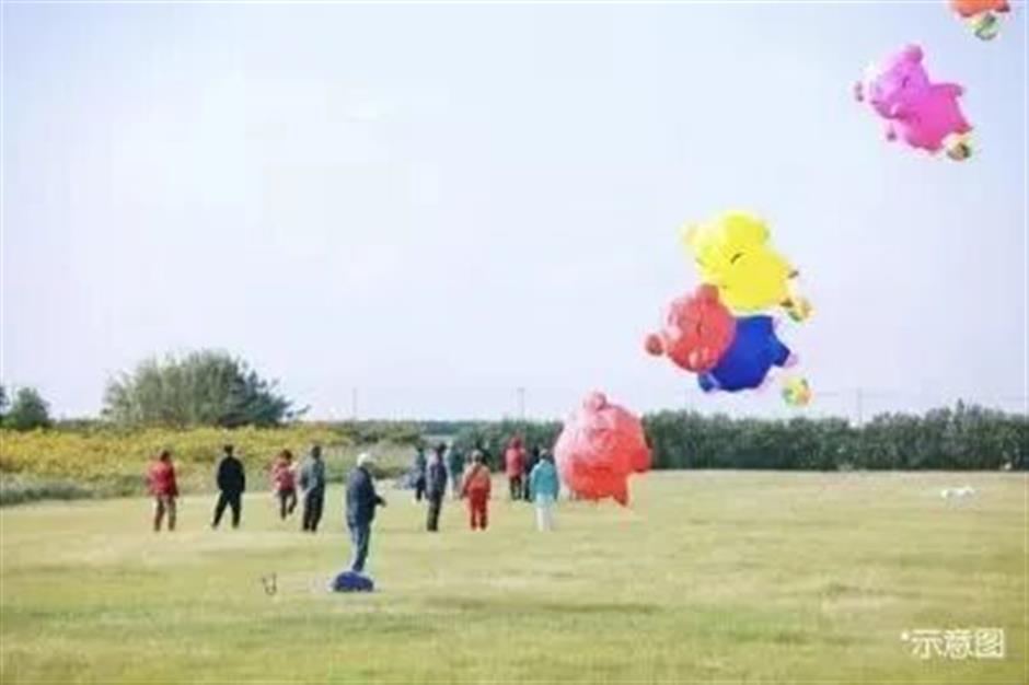 在上海国际邮轮旅游度假区,共启新年第一游!|来上海,过新年