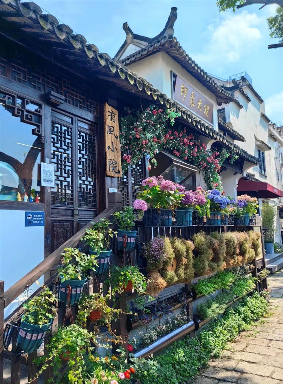 旅超大PK!虹口寻踪,浦东有风,赴一场都市山水邀约