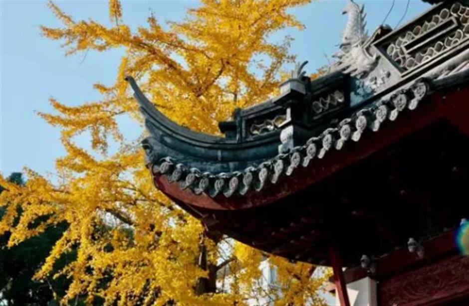 旅超|从美食到美景,从舌尖到眼底,闵行好惊喜!