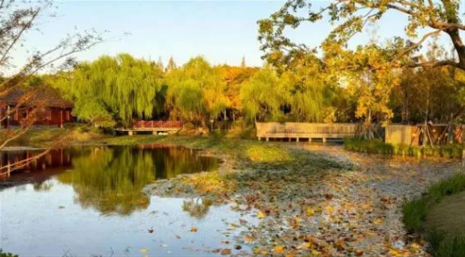 旅超|从美食到美景,从舌尖到眼底,闵行好惊喜!