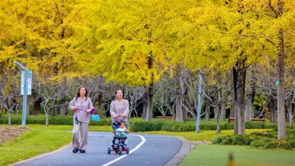 旅超|从美食到美景,从舌尖到眼底,闵行好惊喜!
