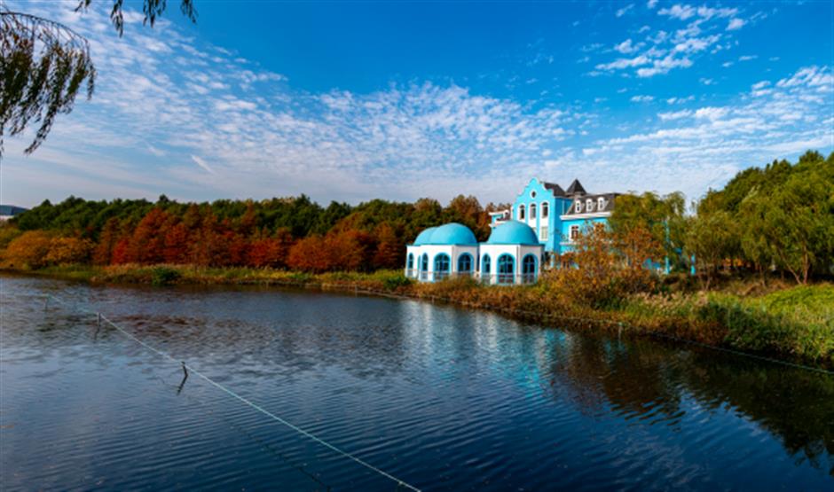 旅超|从美食到美景,从舌尖到眼底,闵行好惊喜!