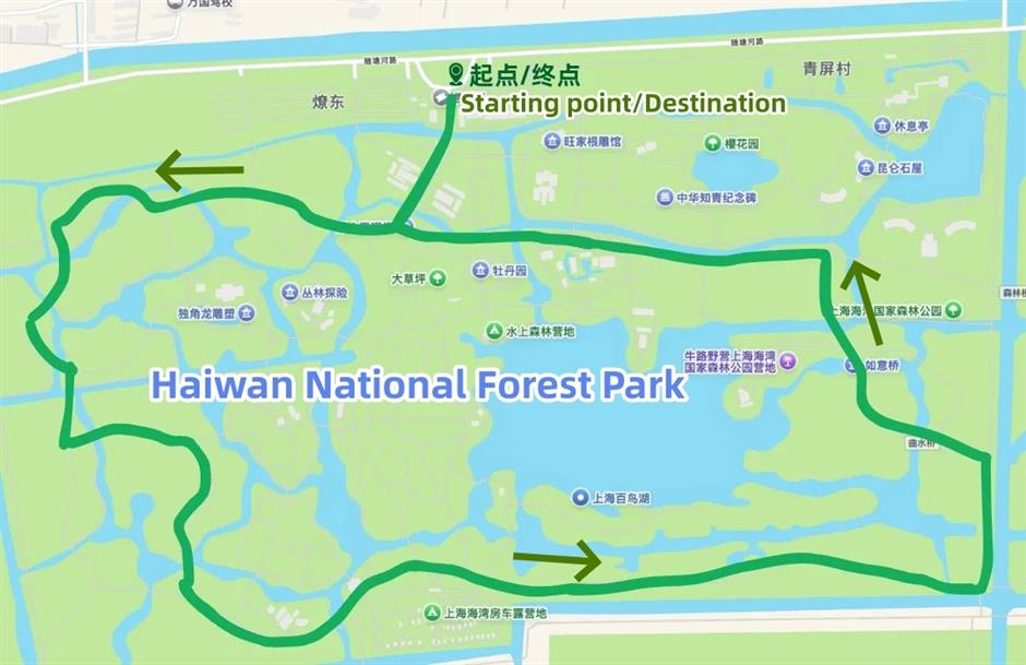 Shanghai's jogging paradise: 3 scenic routes to explore the city